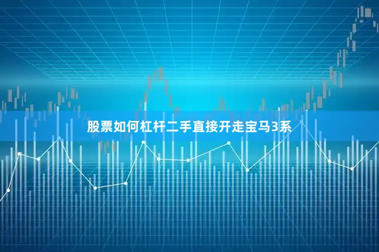 股票如何杠杆二手直接开走宝马3系