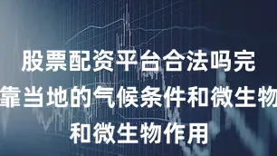 股票配资平台合法吗完全依靠当地的气候条件和微生物作用
